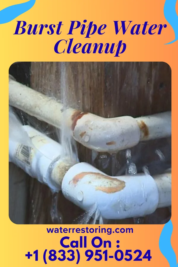 Burst Pipe Water Cleanup in Brownstown, IN