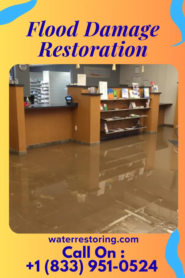 Flood Damage Restoration in Brownstown, IN