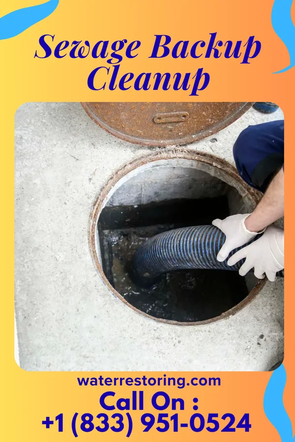 Sewage Backup Cleanup in Brownstown, IN