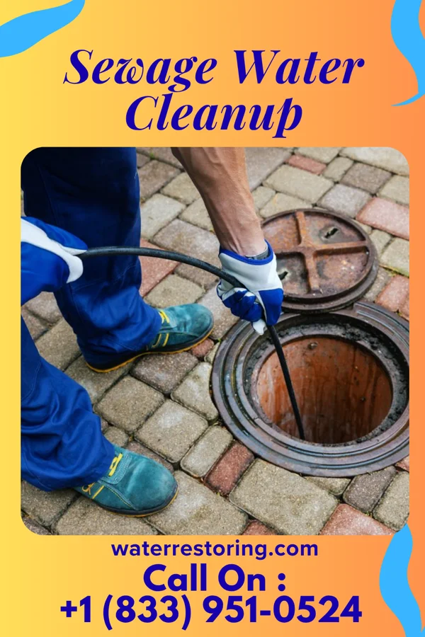 Sewage Water Cleanup in Brownstown, IN